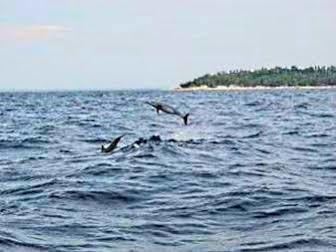 Pamilacan Island Tourist Inn And Restaurant Bohol Zewnętrze zdjęcie